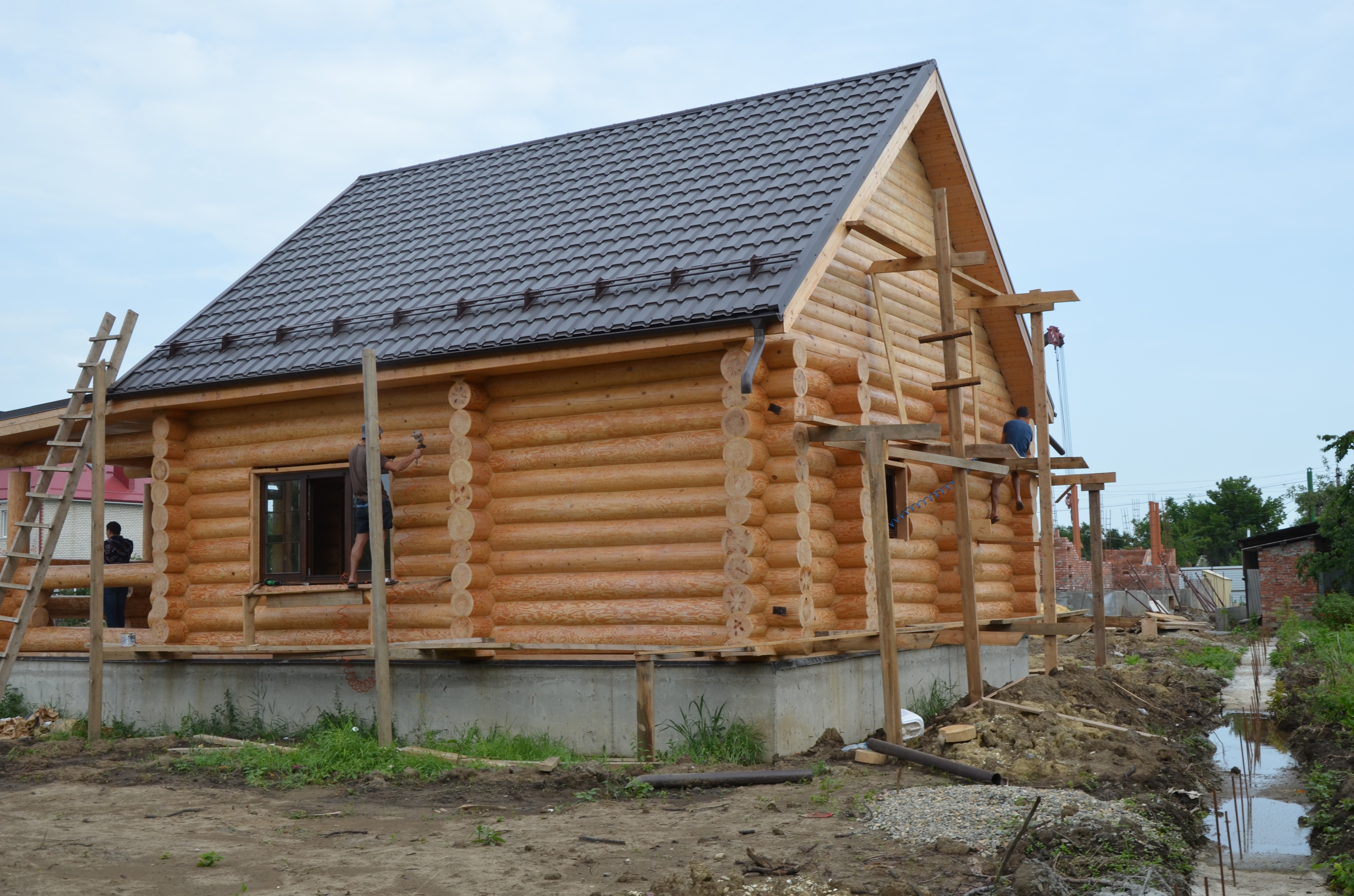 Баня из бруса: какую породу древесины лучше использовать?